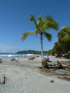 Palme Manuel Antonio