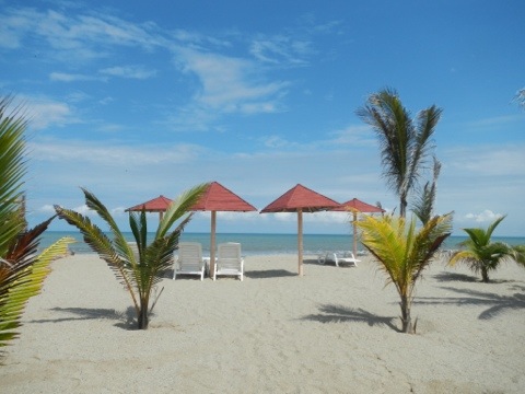 20120225-121809.jpg